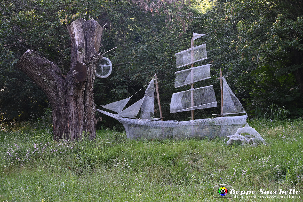VBS_4883 - Il bosco fatato - Montaldo Roero.jpg